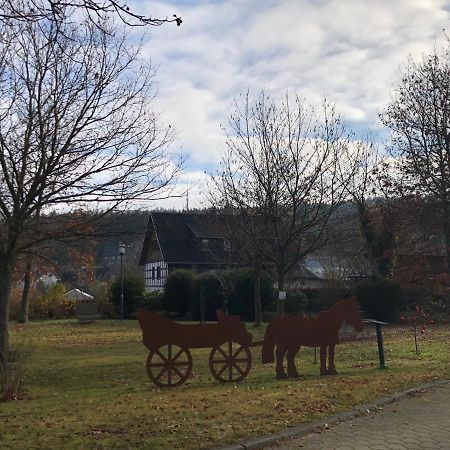 Fennies Huette Villa Medebach Eksteriør bilde